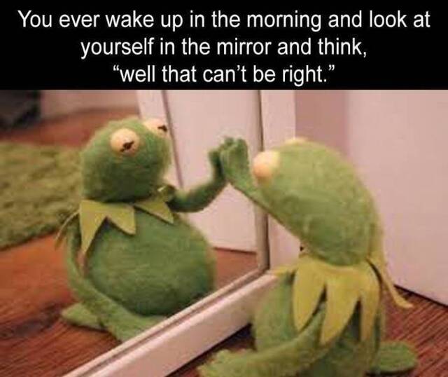 Bildschirmarbeiter - Picdump KW44 2021