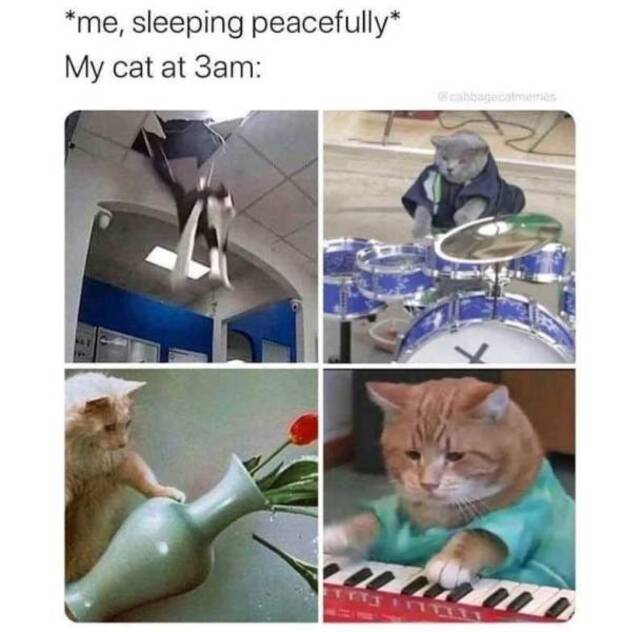 Bildschirmarbeiter - Picdump KW44 2021