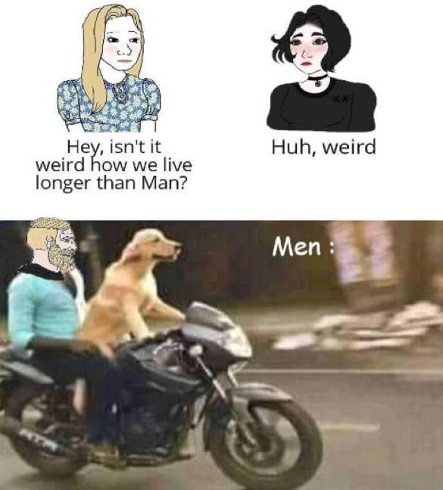 Bildschirmarbeiter - Picdump KW44 2021