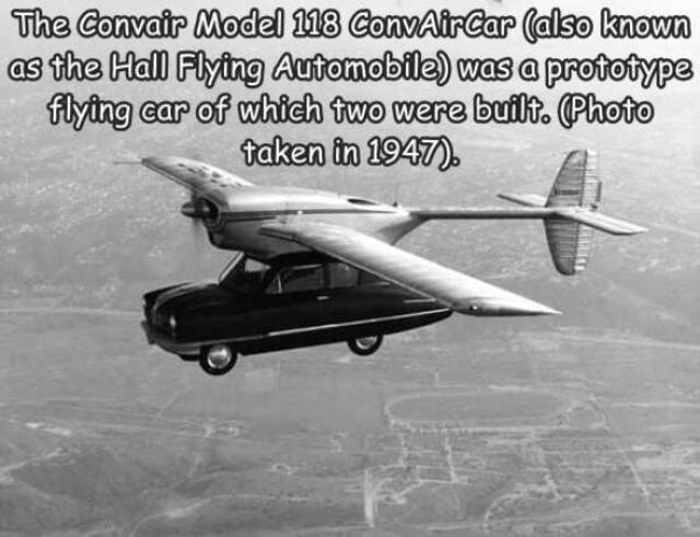 Bildschirmarbeiter - Picdump KW44 2021