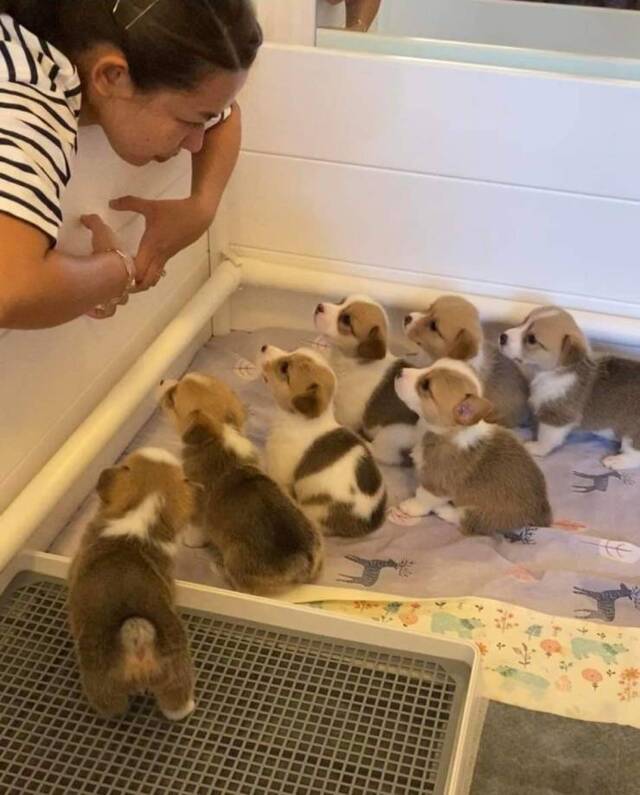 Bildschirmarbeiter - Picdump KW44 2021