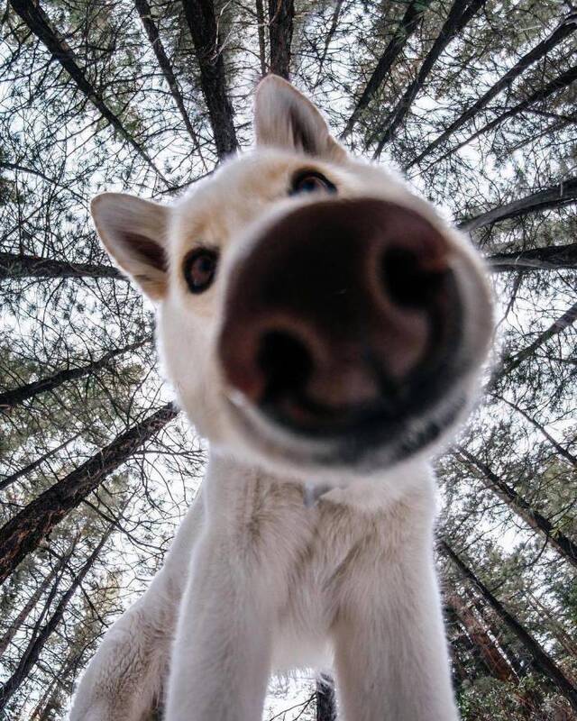 Bildschirmarbeiter - Picdump KW44 2021