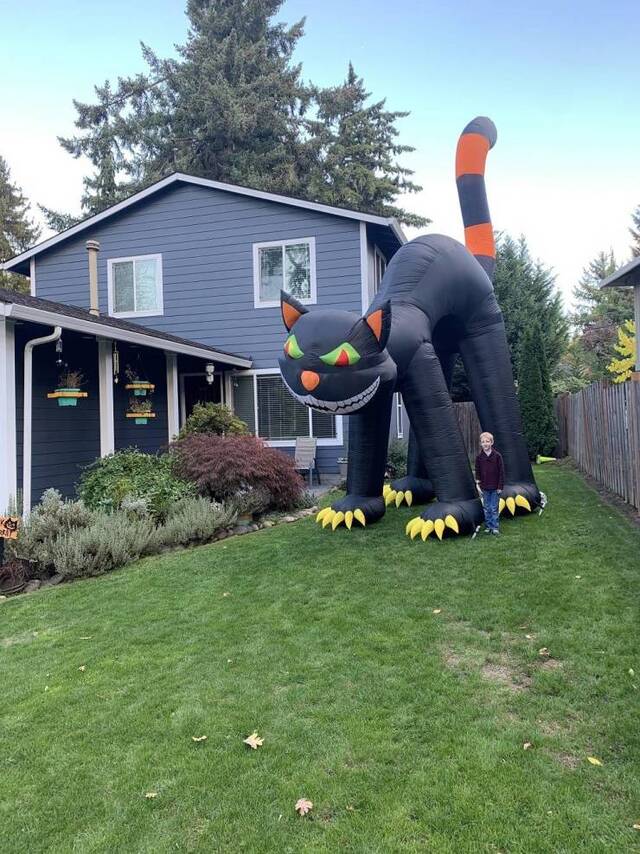 Nachschlag - Bildschirmarbeiter - Picdump KW44 2021