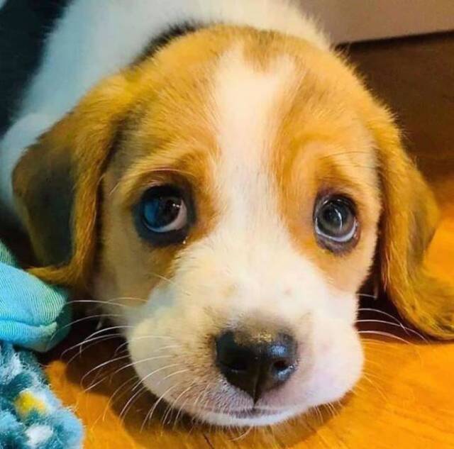 Nachschlag - Bildschirmarbeiter - Picdump KW44 2021