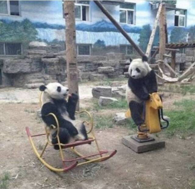 Nachschlag - Bildschirmarbeiter - Picdump KW44 2021