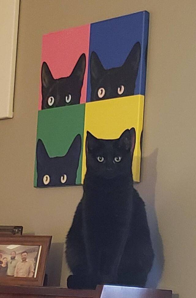 Nachschlag - Bildschirmarbeiter - Picdump KW44 2021