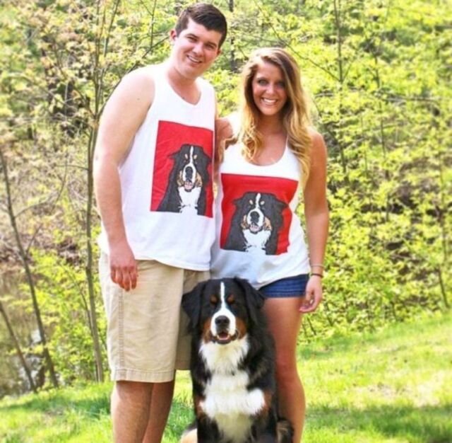 Bildschirmarbeiter - Picdump KW 44/2025