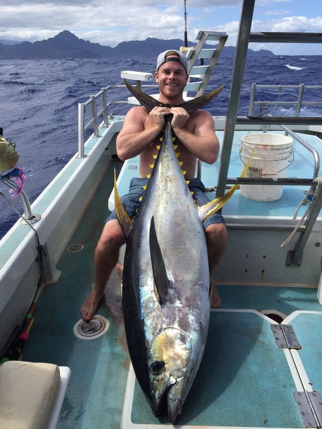 Bildschirmarbeiter - Picdump KW 44/2025