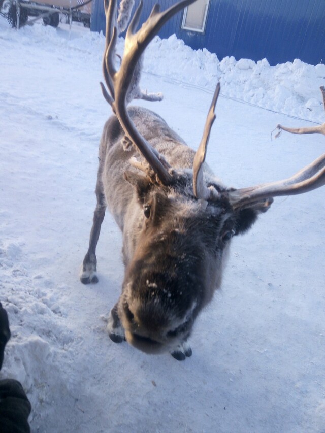 Bildschirmarbeiter - Picdump KW 44/2025