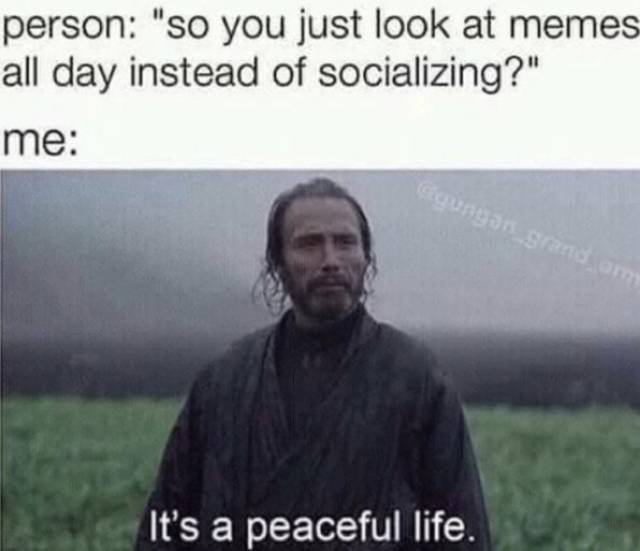 Bildschirmarbeiter - Picdump KW 44/2025