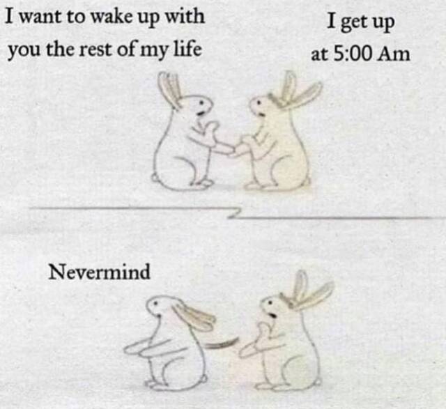 Bildschirmarbeiter - Picdump KW 44/2025