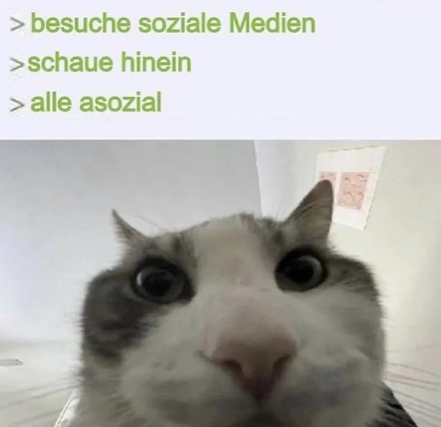 Bildschirmarbeiter - Picdump KW 44/2025