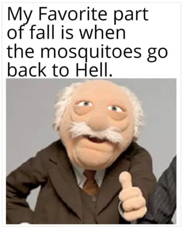 Bildschirmarbeiter - Picdump KW 44/2025