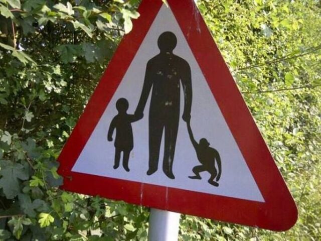 Bildschirmarbeiter - Picdump KW 44/2025