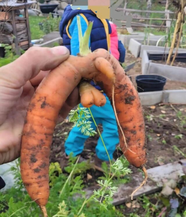 Bildschirmarbeiter - Picdump KW 44/2025