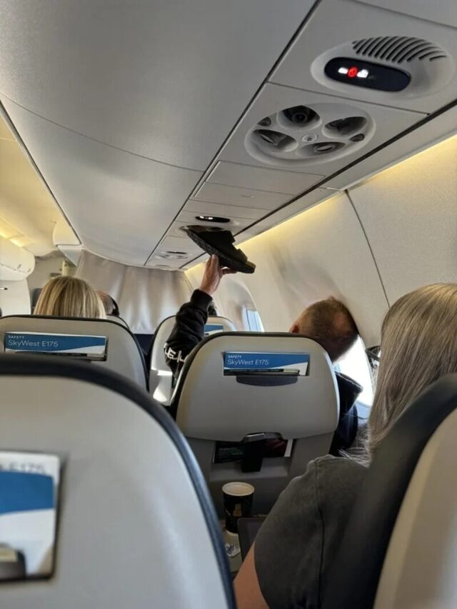 Bildschirmarbeiter - Picdump KW 44/2025