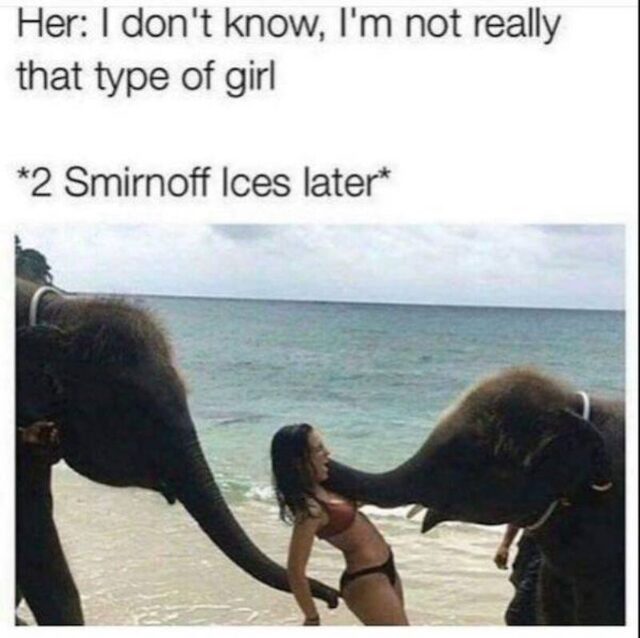 Bildschirmarbeiter - Picdump KW 44/2025