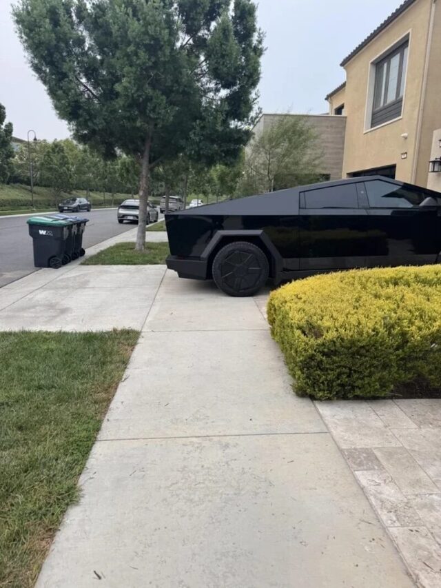 Bildschirmarbeiter - Picdump KW 44/2025