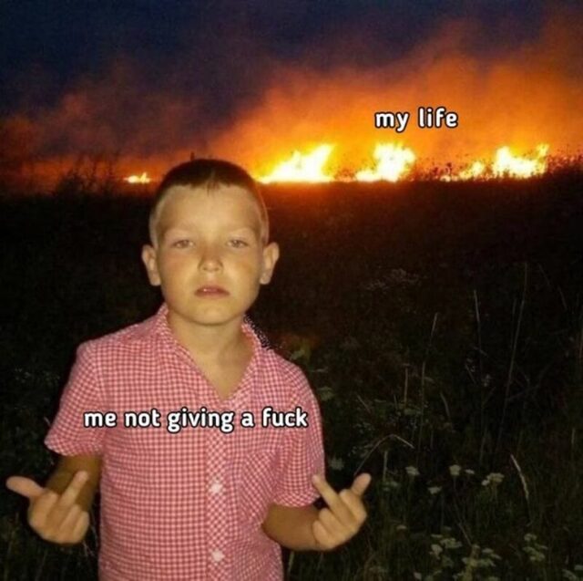 Bildschirmarbeiter - Picdump KW 44/2025