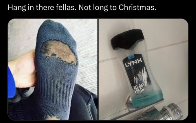 Bildschirmarbeiter - Picdump KW 44/2025