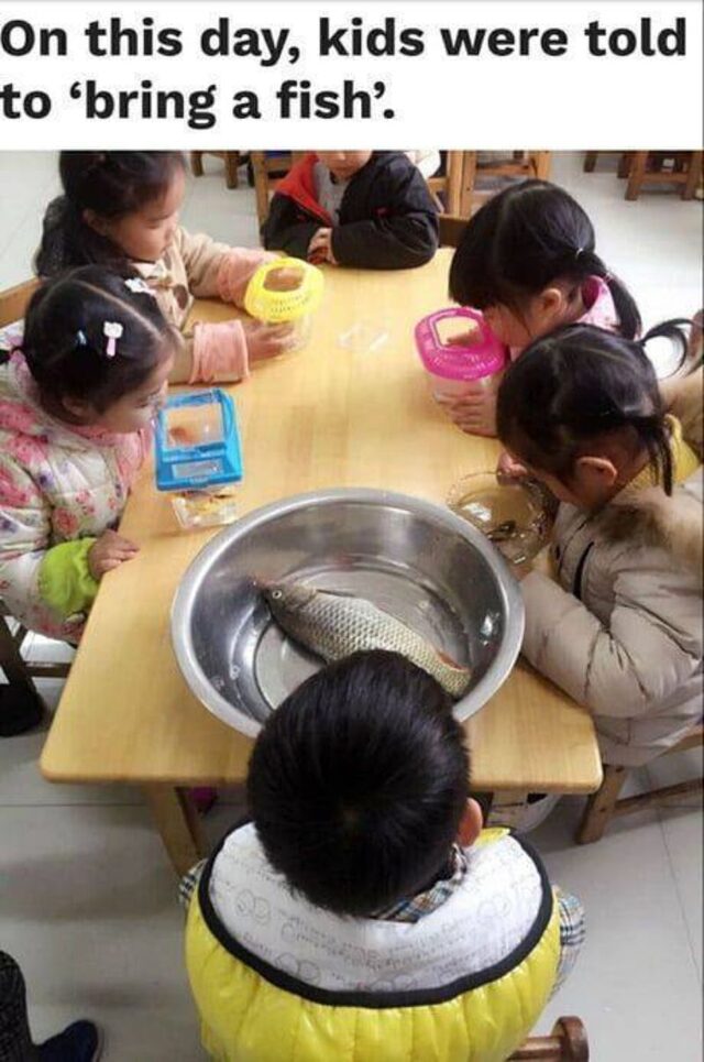 Bildschirmarbeiter - Picdump KW 44/2025