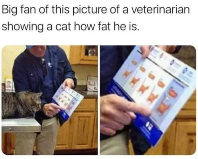 Bildschirmarbeiter - Picdump KW45 2021