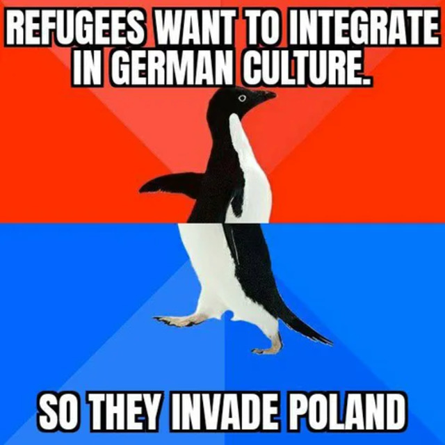 Bildschirmarbeiter - Picdump KW45 2021