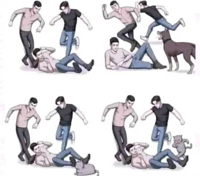 Bildschirmarbeiter - Picdump KW45 2021