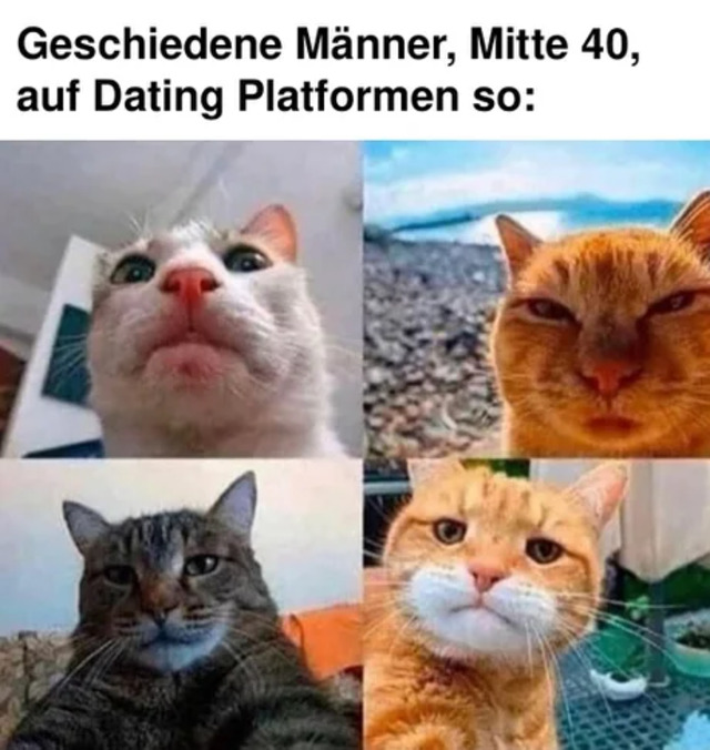 Bildschirmarbeiter - Picdump KW45 2021