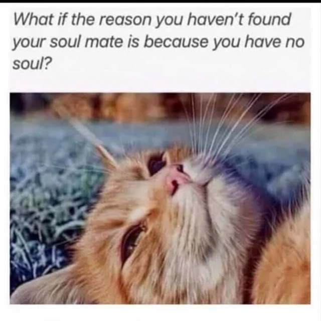 Bildschirmarbeiter - Picdump KW45 2021