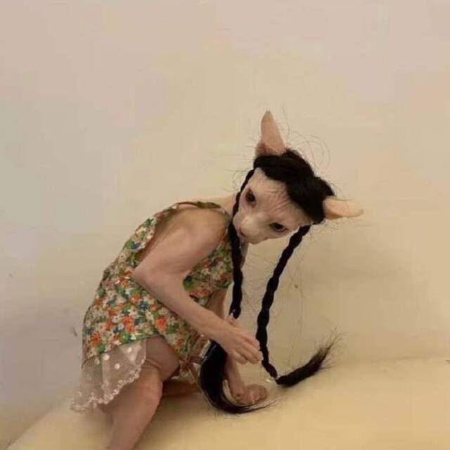 Bildschirmarbeiter - Picdump KW45 2021