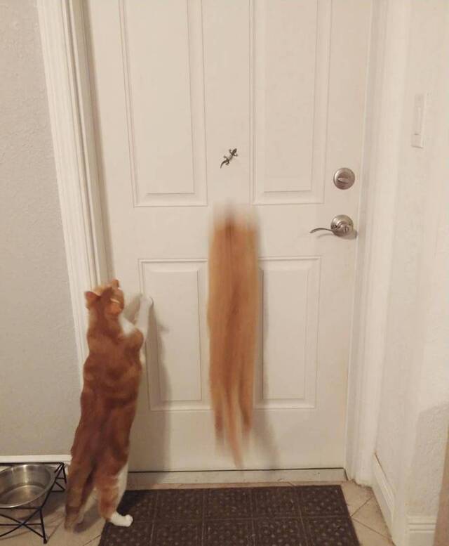 Bildschirmarbeiter - Picdump KW45 2021