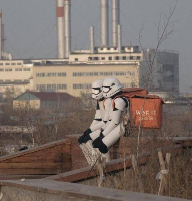 Bildschirmarbeiter - Picdump KW45 2021