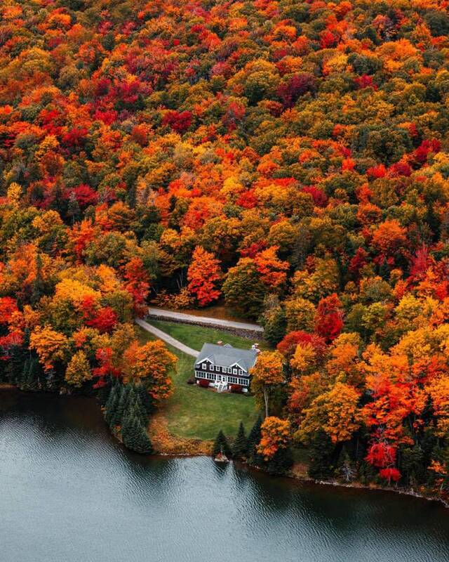 Bildschirmarbeiter - Picdump KW45 2021