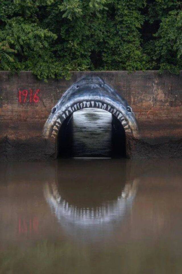 Bildschirmarbeiter - Picdump KW45 2021