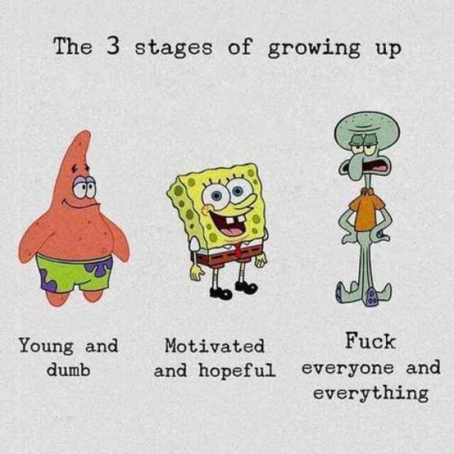 Bildschirmarbeiter - Picdump KW45 2021