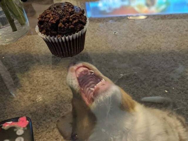 Nachschlag - Bildschirmarbeiter - Picdump KW45 2021