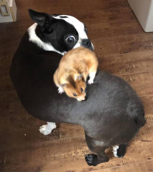 Nachschlag - Bildschirmarbeiter - Picdump KW45 2021