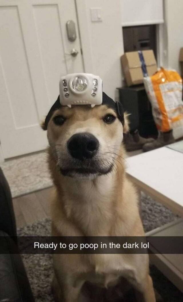 Nachschlag - Bildschirmarbeiter - Picdump KW45 2021