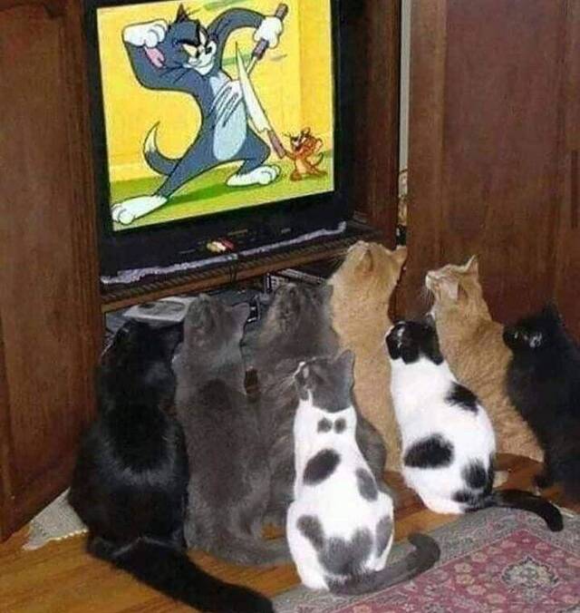 Nachschlag - Bildschirmarbeiter - Picdump KW45 2021