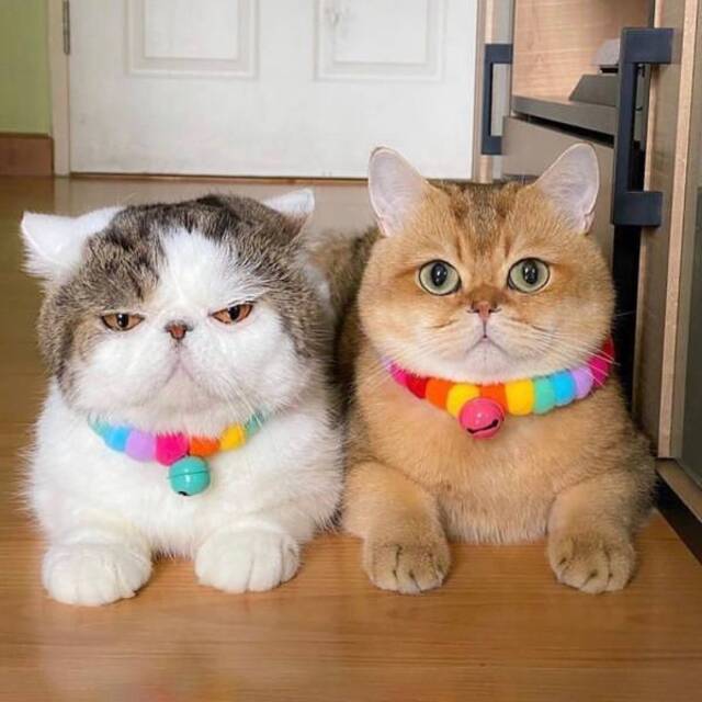 Nachschlag - Bildschirmarbeiter - Picdump KW45 2021