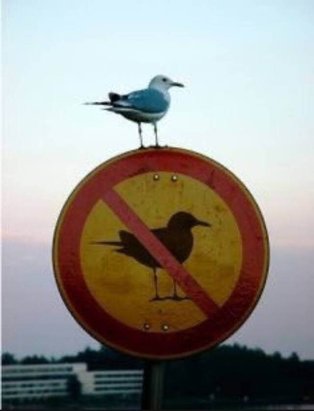 Nachschlag - Bildschirmarbeiter - Picdump KW45 2021