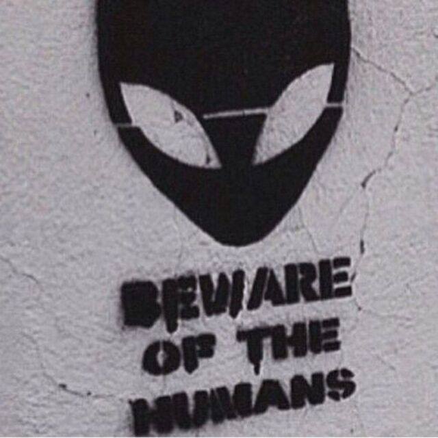 Nachschlag - Bildschirmarbeiter - Picdump KW45 2021