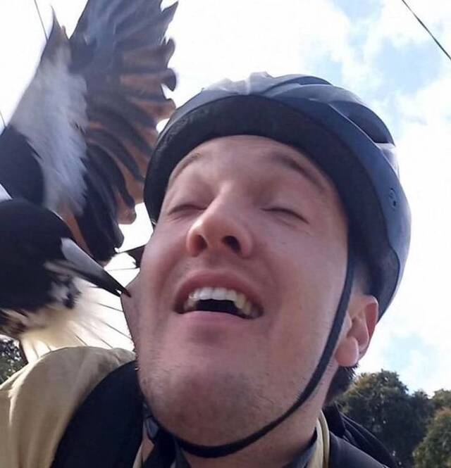 Nachschlag - Bildschirmarbeiter - Picdump KW45 2021