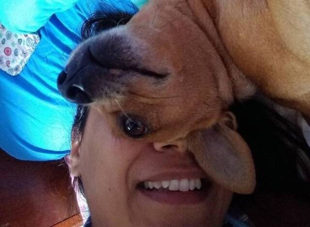 Nachschlag - Bildschirmarbeiter - Picdump KW45 2021