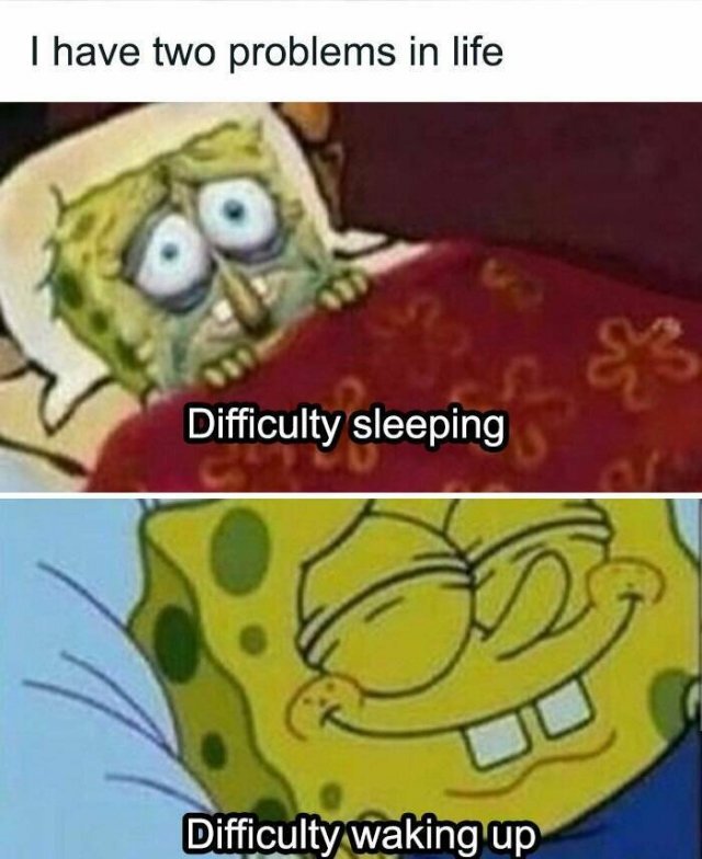 Bildschirmarbeiter - Picdump KW 45/2025