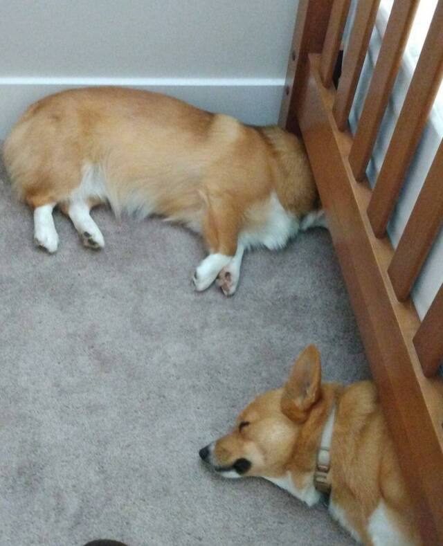 Bildschirmarbeiter - Picdump KW 45/2025