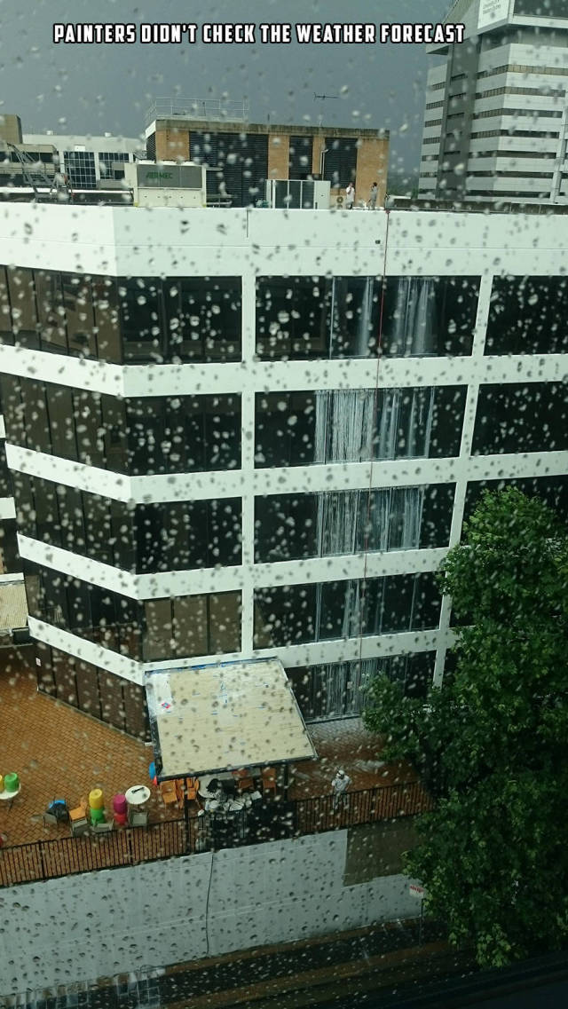 Bildschirmarbeiter - Picdump KW 45/2025