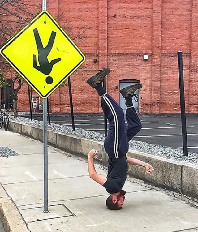 Bildschirmarbeiter - Picdump KW 45/2025