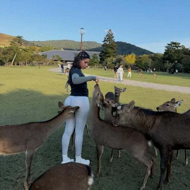 Bildschirmarbeiter - Picdump KW 45/2025